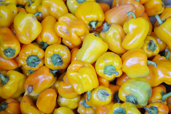 Süße gelbe Paprika — Stockfoto