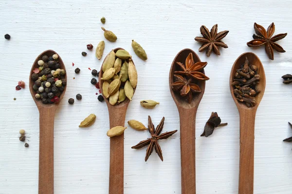 Four spoons full of different spices - cardamom, anise stars and peppers — Stock Photo, Image