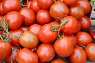 Büyük kırmızı doğal organik domates çiftlik Market