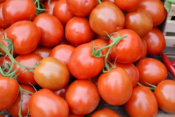Große rote natürliche Bio-Tomaten auf dem Bauernmarkt — Stockfoto