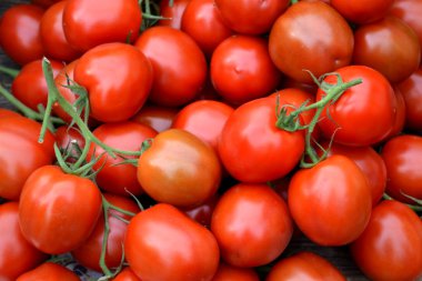 Büyük kırmızı doğal organik domates çiftlik Market