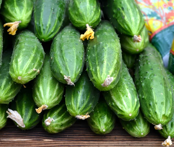 Verse groene biologische komkommers op de markt — Stockfoto