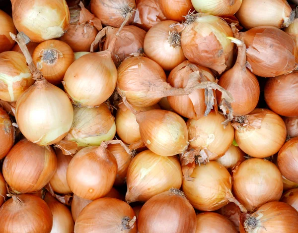 Muitas cebolas de bulbo dourado orgânicas no mercado — Fotografia de Stock