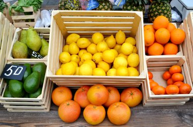 Narenciye mandalina, kumquats, portakal ve limon yerel çiftlik Market kümesi