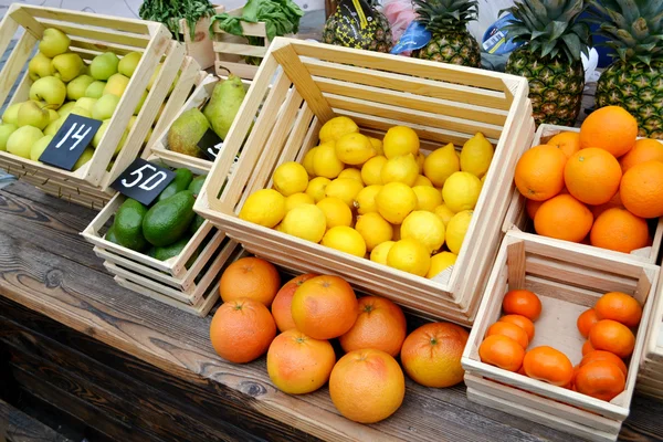 Set of citrus fruits from tangerines, kumquats, oranges and lemons at the local farm market — Stock Photo, Image