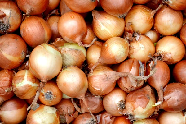 Un montón de cebollas bombilla de oro orgánica en el mercado —  Fotos de Stock