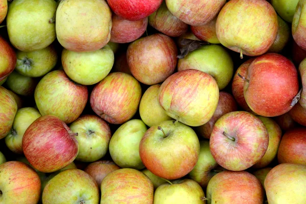 Manzanas verdes y rojas enteras en el mercado — Foto de Stock