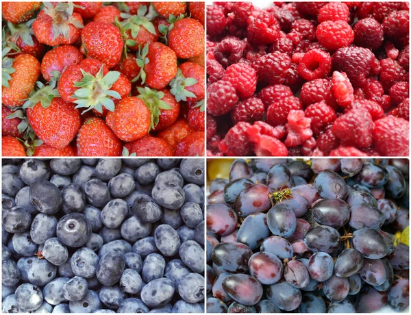 Collage of healthy organic berries - strawberries, blueberries, rapsberries, grapes — Stock Photo, Image