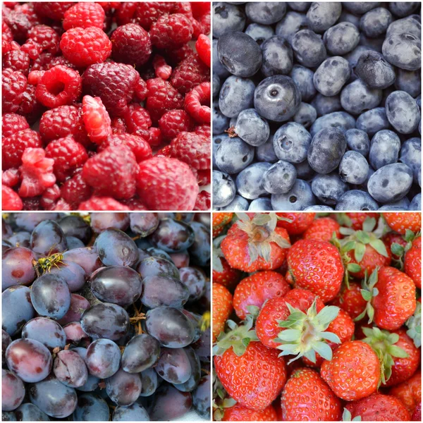 Collage of healthy organic berries - strawberries, blueberries, rapsberries, grapes — Stock Photo, Image