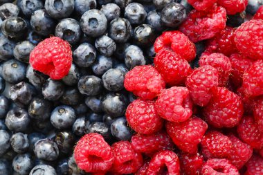 Çok parlak lezzetli pembe Ahududu ve sağlıklı ve lezzetli organik yaban mersini