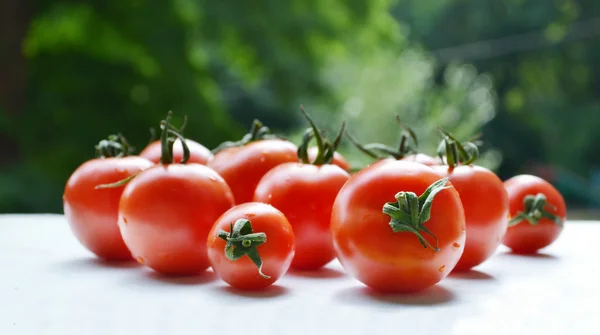 Grandes tomates ecológicos naturales rojos en el mercado agrícola —  Fotos de Stock