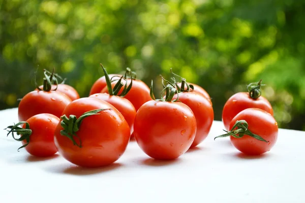 Grandes tomates ecológicos naturales rojos en el mercado agrícola —  Fotos de Stock