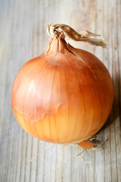 Große goldene Zwiebelzwiebel auf Holztisch — Stockfoto