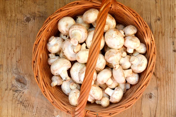 Raw white mushrooms in a basket