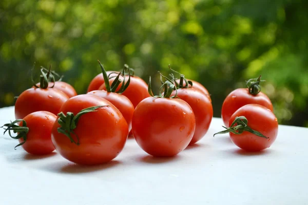 Grandes tomates ecológicos naturales rojos en el mercado agrícola — Foto de Stock