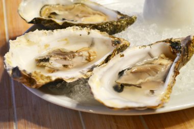 Bir restoranda taze ve çiğ istiridye