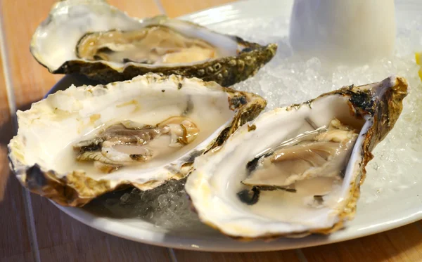 餐厅内的新鲜和未煮熟的牡蛎 — 图库照片