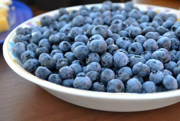 Arándanos orgánicos saludables y deliciosos en plato blanco — Foto de Stock