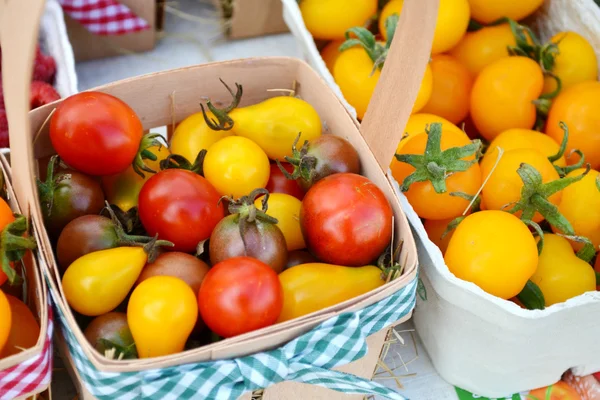 Kleine rote, braune und gelbe Bio-Kirschtomaten verschiedener Sorten in Eimern auf einem Wochenmarkt — Stockfoto