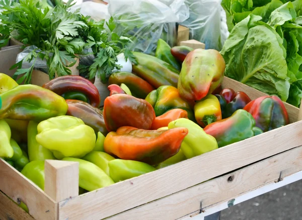 Pimientos verdes, rojos y anaranjados frescos y dulces del mercado agrícola — Foto de Stock