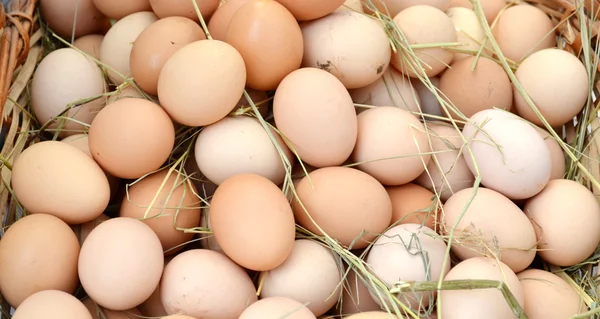 Braune Bio-Eier im Korb auf dem Wochenmarkt — Stockfoto