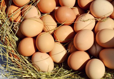 Bir sokak pazarında bir sepet içinde organik kahverengi yumurta