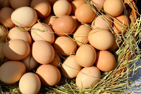 Braune Bio-Eier im Korb auf dem Wochenmarkt — Stockfoto