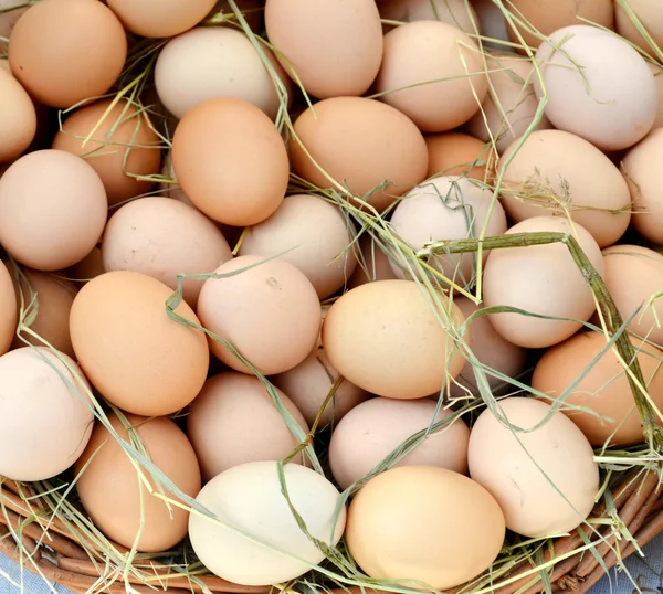 Organik coklat telur dalam keranjang di pasar jalan — Stok Foto