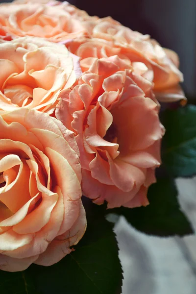 Hermoso ramo de boda de rosas de albaricoque —  Fotos de Stock