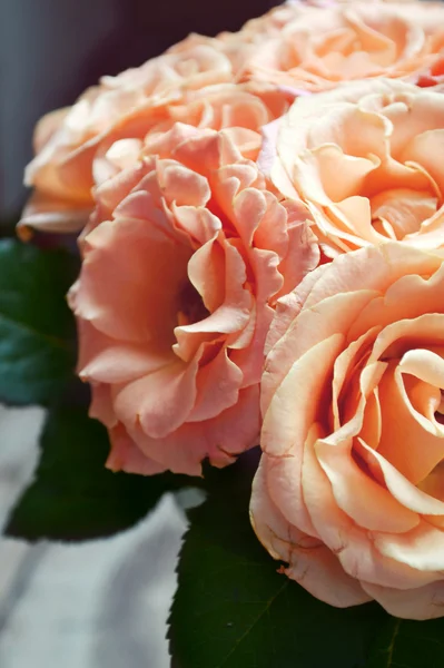 アプリコットのバラの美しい結婚式の花束 — ストック写真