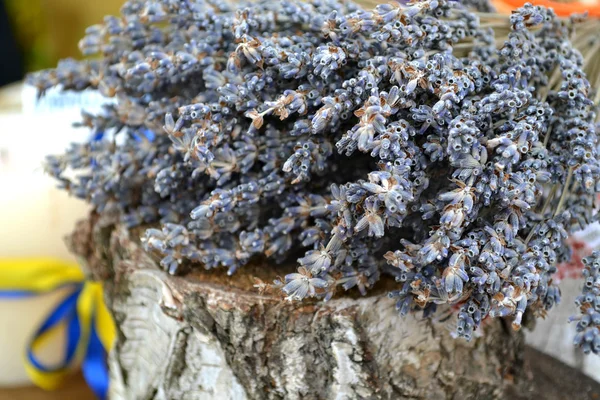 Bando de belas flores de lavanda azul — Fotografia de Stock