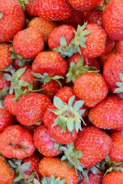 Căpșuni roșii — Fotografie, imagine de stoc