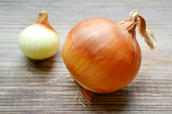 Gran cebolla bombilla dorada con una pequeña en la mesa de madera —  Fotos de Stock