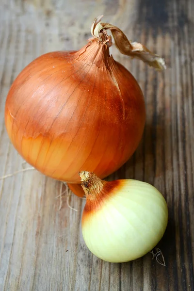 Grande cebola bulbo dourado com um pequeno em mesa de madeira — Fotografia de Stock