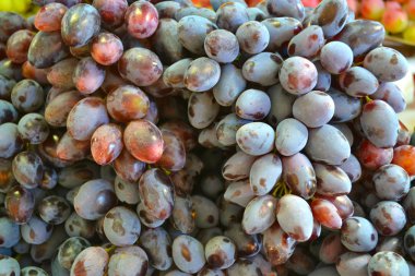 mavi ve mor tatlı üzüm