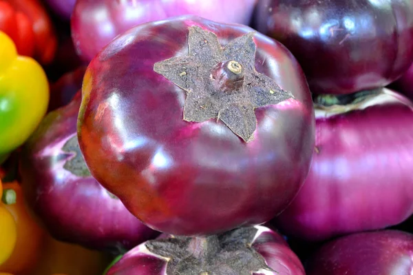 Pirple patlıcan helios yuvarlak — Stok fotoğraf