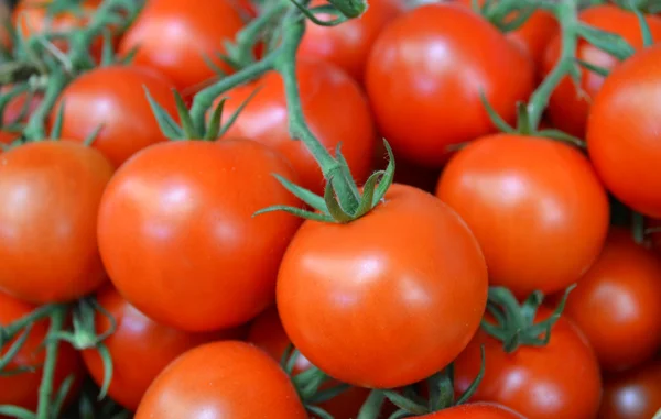 Pomodori rossi grandi — Foto Stock