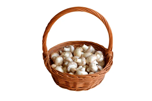 Champignons blancs crus dans un panier isolé sur blanc — Photo