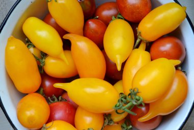 uzun sarı ve kırmızı domates büyük kase