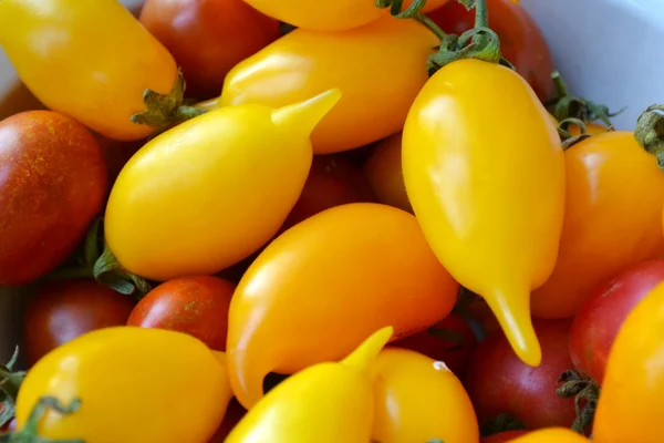 Große Schüssel mit langen gelben und roten Tomaten — Stockfoto