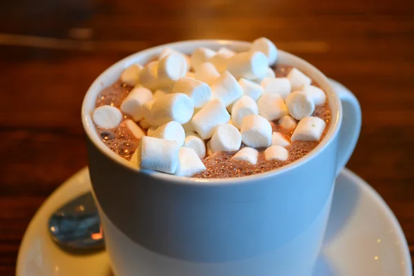 Fehér csésze forró kakaót a marshmallows és a fahéj — Stock Fotó
