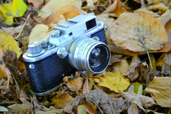 Fotocamera retrò su foglie di autunno — Foto Stock