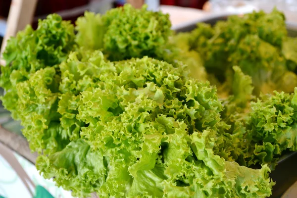 Ensalada de lechuga verde — Foto de Stock