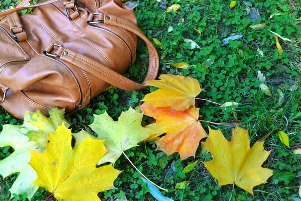 Leather bag with autumn leaves on a green grass — Stock Photo, Image