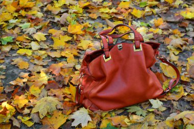 Kırmızı deri çanta sonbahar yaprakları bir alanla