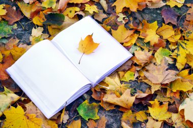 Boş bir defter sonbahar yaprakları ile kaplı