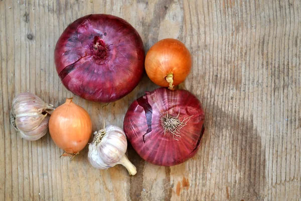 Red and bulb onions with whole organic garlic on wooden table — Stock Photo, Image