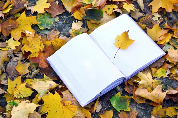 Um caderno vazio coberto com folhas de outono — Fotografia de Stock