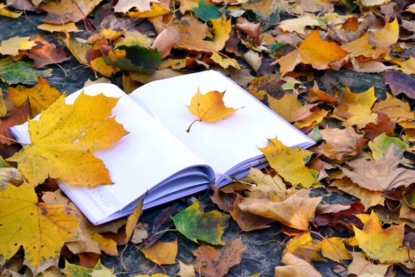 Um caderno vazio coberto com folhas de outono — Fotografia de Stock