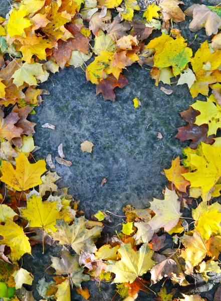 Autumn leaves on pavement in a shape of heart — Stock Photo, Image